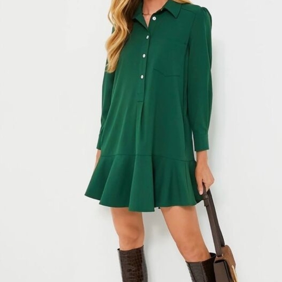Tuckernuck Dresses & Skirts - Tuckernuck Medium Green Ruffle Hem Shirt Dress